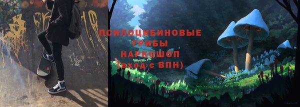 винт Верея