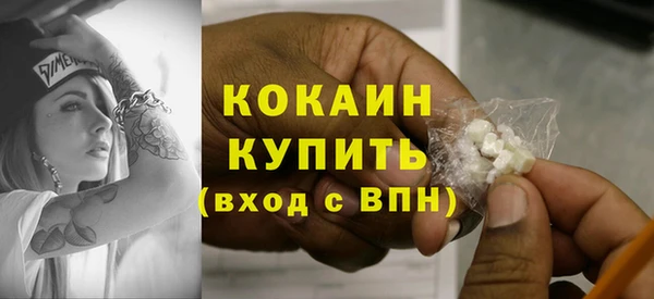 винт Верея