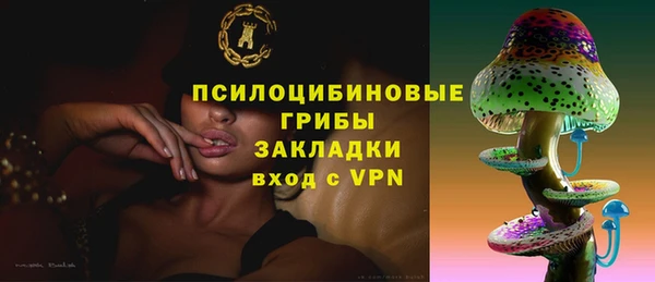винт Верея