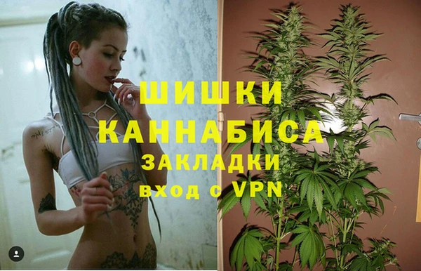 винт Верея