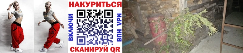Канабис Amnesia  купить  сайты  кракен сайт  Карасук 